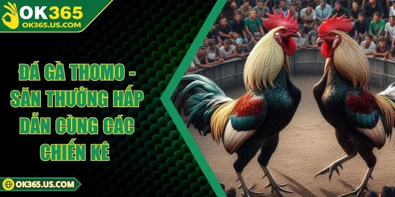 Đá Gà Thomo